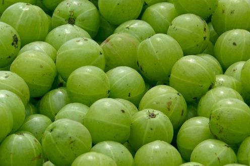 GOOSEBERRY - AMLA